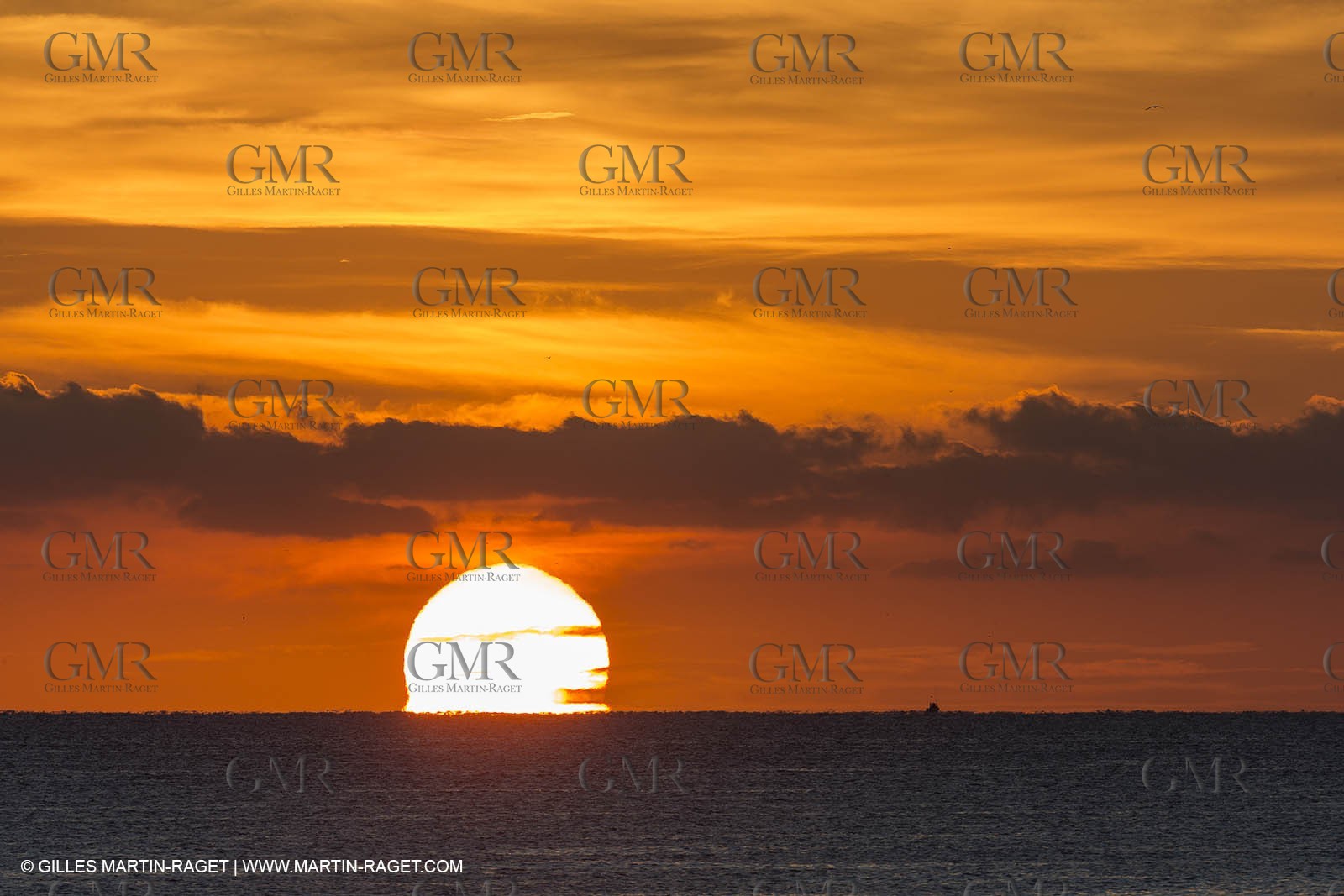 11 10 2014, Alicante (ESP), Volvo Ocean Race 2014-15, Team Alvimedica