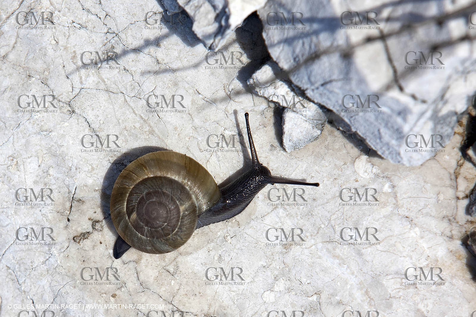16 04 2009 - Marseille (FRA, 13) - Les Calanques