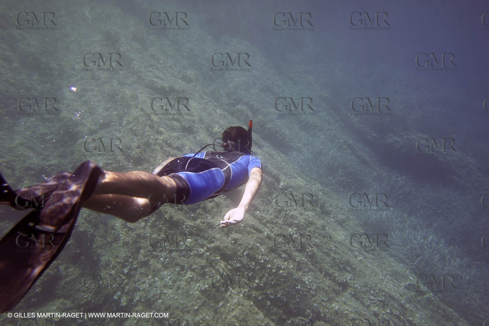 2005, Port Cros Island