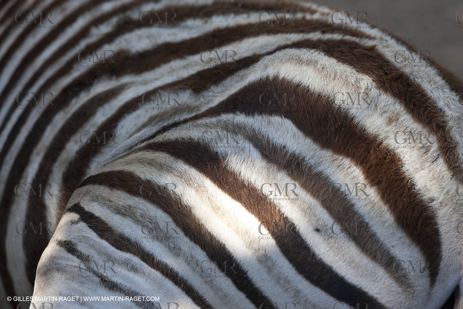 28 07 2009 - Sanary sur mer (FRA,83) - Zoo - Exotic garden