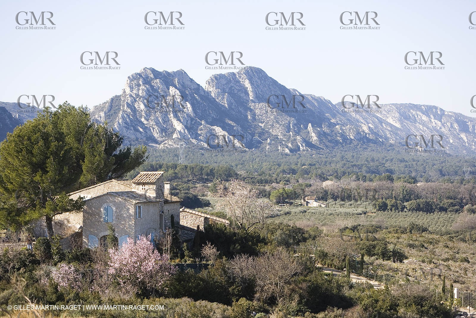 15 02 2007 - Provence - Les Alpilles