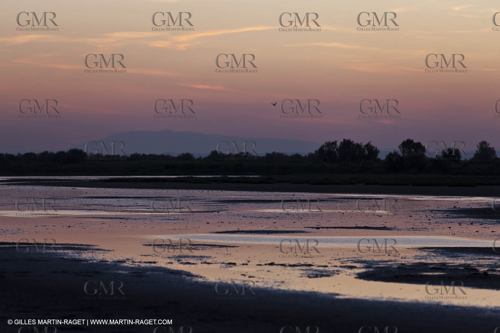 25 05 2011 - Les Saintes Maries de la Mer (FRA,13) - gypsies gathering