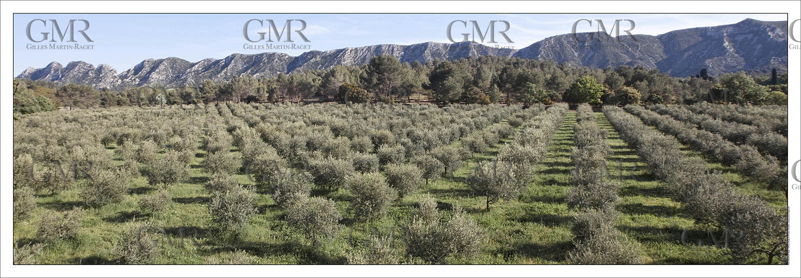 Product: in house made quality print on 8 ultrachome colors Epson ink Jet printer.Available sizes: . 20x 60 cm. 33 x 95 cm. 52 x 150 cmAvailable papers: . Standard 250 gr glossy paper print, black streak, white margin, no signature. Top quality glossy 290 gr. paper, black streak, white margin, checked and signed by the author. Fine Art print (signed, numbered, stamped, registered) on demand. Other supports (Canvas, Acrylic, Metal) on demandPackaging: cylindric reinforced tubeShipping options: regular mail or Shipping companyClick on the basket icon to select your options and start the online ordering process