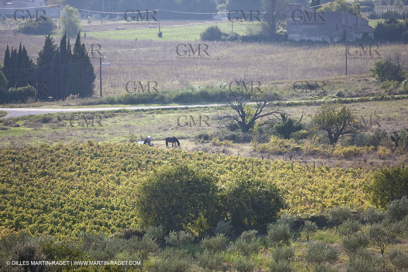 25 09 2009 - Sernhac (FRA,30)