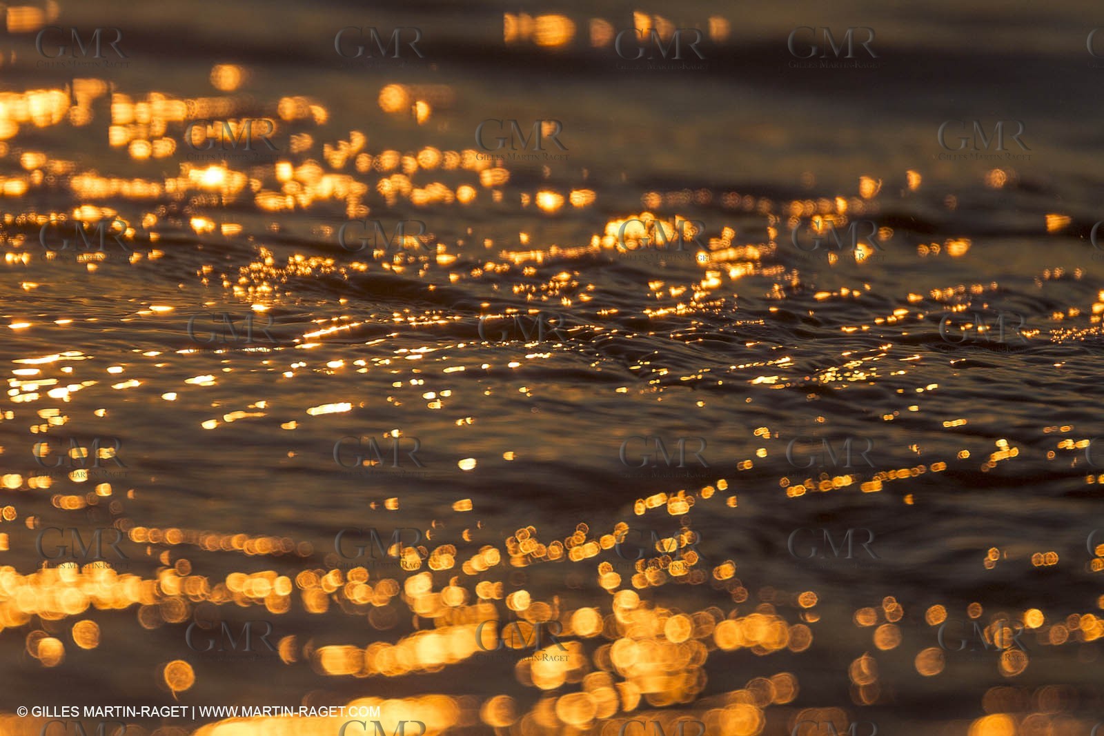 21 12 2014, Barcelona (ESP), Barcelona World Race 2014-15,