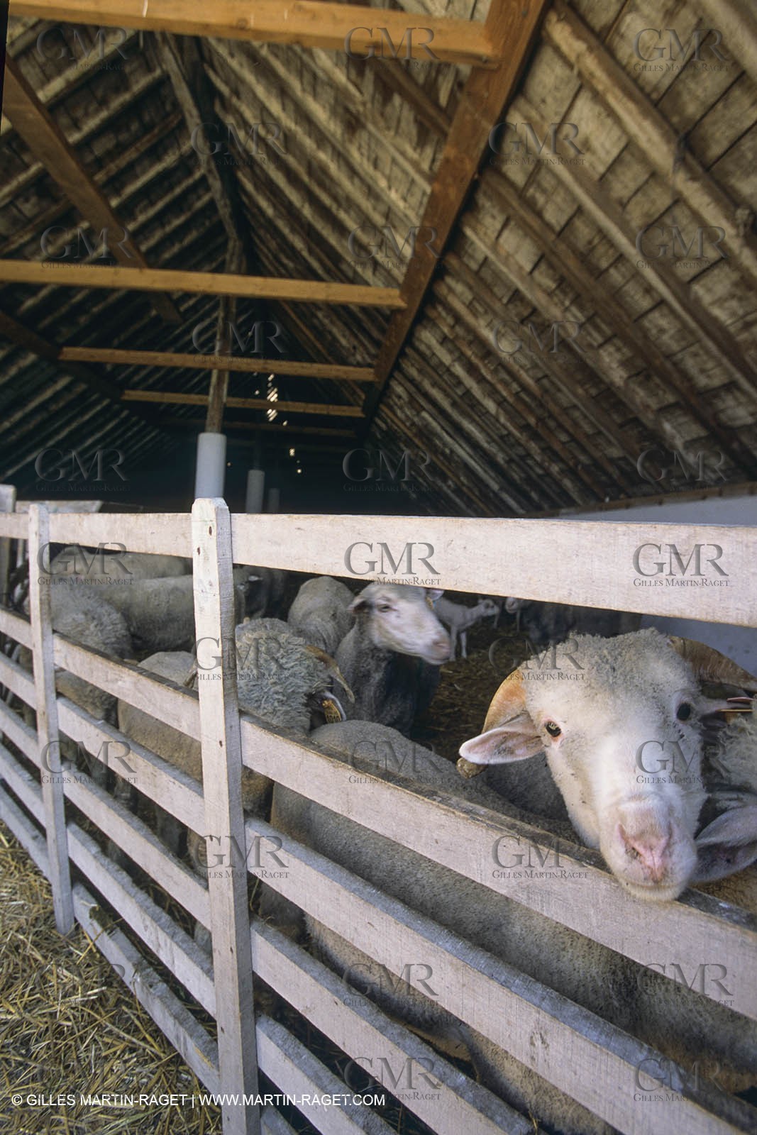 Camargue (FRA) - houses and cants from Camargue