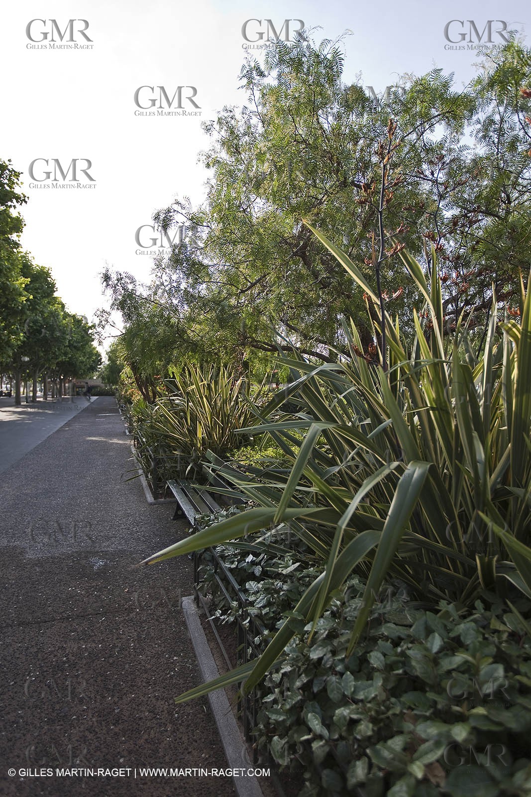 06 06 09 - Sanary Sur Mer -