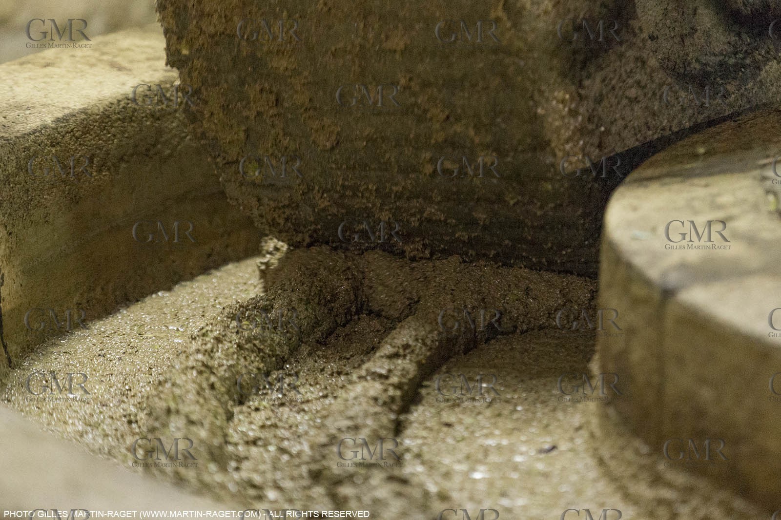 14 11 2015, Saint-Etienne du Grès (FRA,13), fabrication traditionelle de l'huile d'olive au moulin de la Croix