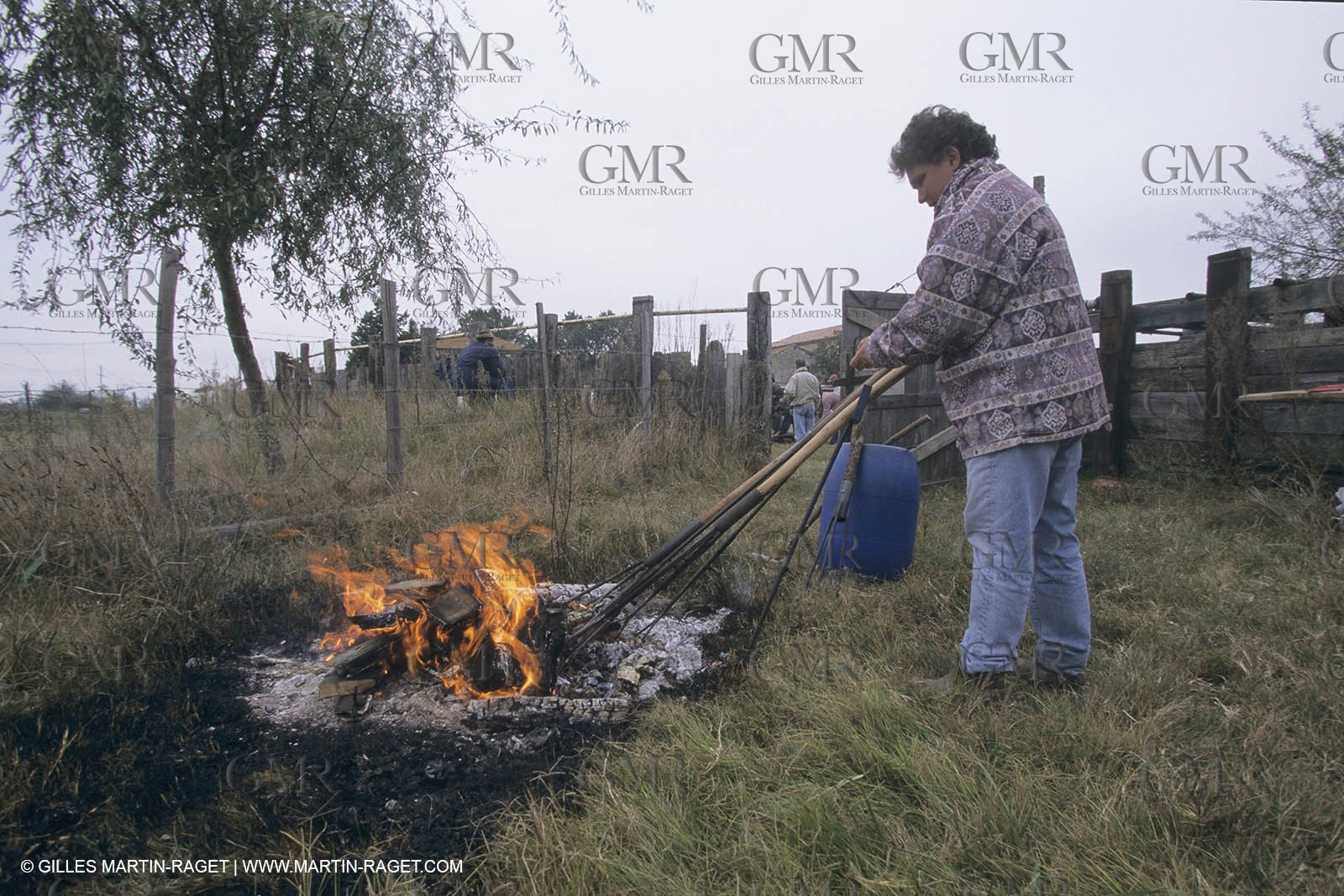 France, Provence, Camargue, Gardians de Camargue, métier, fêtes, élevage, tri