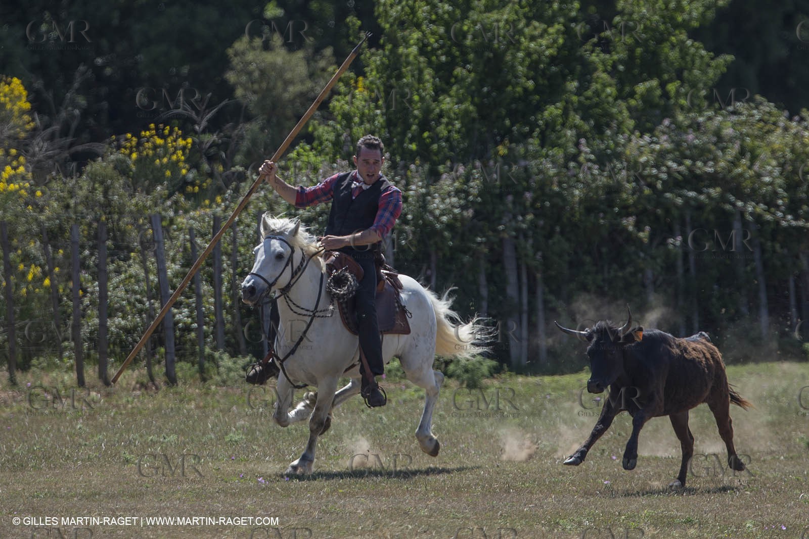 Course de Satin 2014 - Arles (FRA,13) - 1 06 2014**The satin race - Arles (FRA,13) - 01 06 2014