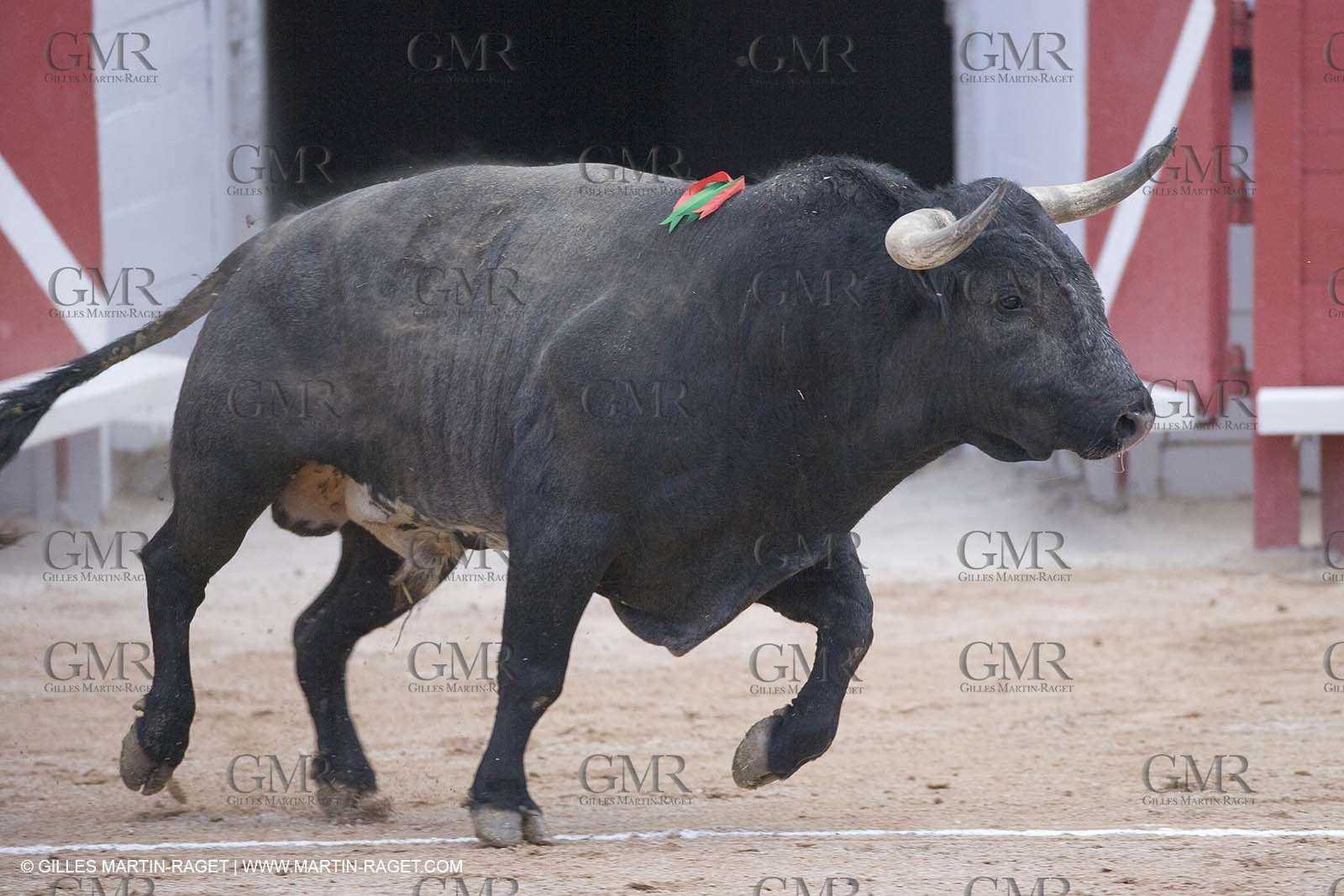 25 03 2008 - Arles (FRA, 13) - Feria 2008 - Bullfight with Miura toros