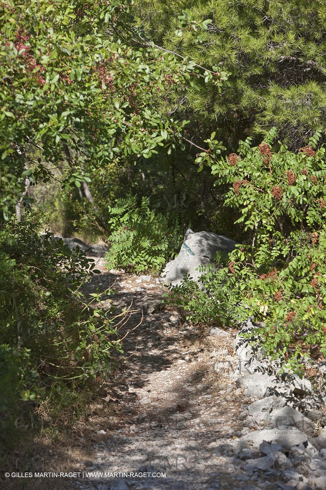 07 09 2009 - Marseille (FRA, 13) - Les Calanques - Massif de Marseilleveyre - Grand Malvallon
