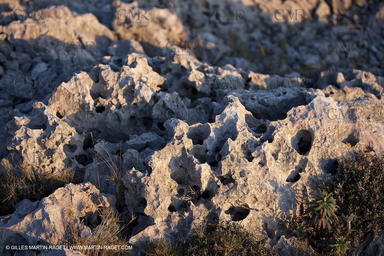 26 03 2009 - Marseille (FRA, 13) - Les Calanques - Plateau de l'Homme Mort