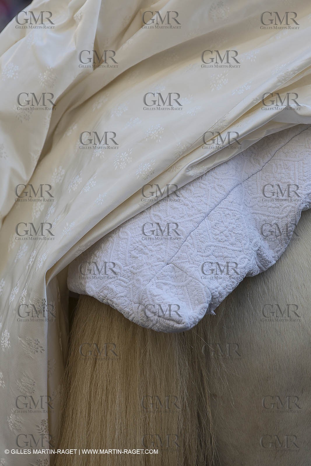 06 07 2014, Arles (FRA,13), Arles Costume Celebration