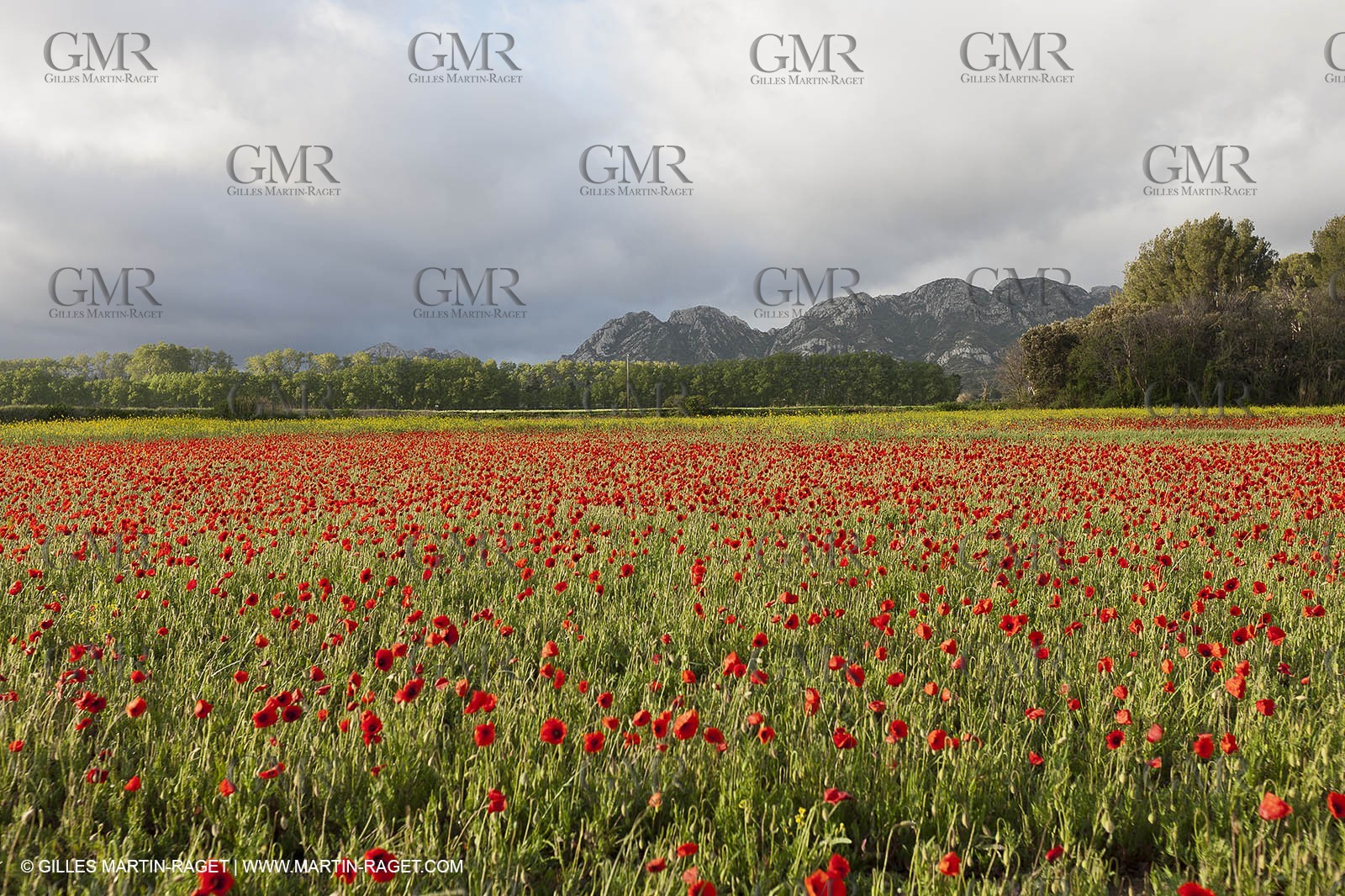 29 04 2012 ( Saint Rémy de Provence (FRA, 13) - Chaîne des Alpilles vers Romanin