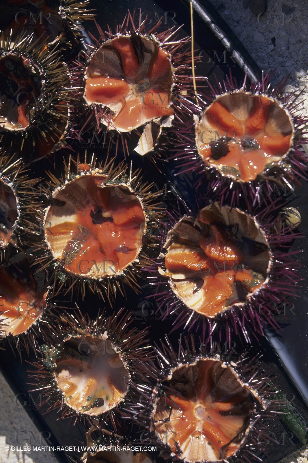 France, Provence, Cooking, Bouillabaisse
