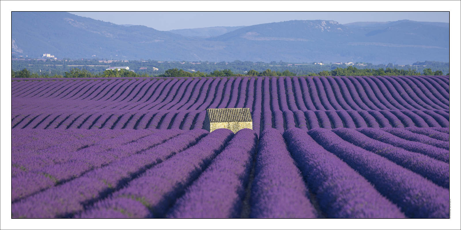 Product: in house made quality print on 8 ultrachome colors Epson ink Jet printer.Available sizes: . 50 x 100 cm. 100 x 200 cmAvailable papers: . Standard 250 gr glossy paper print, black streak, white margin, no signature. Top quality glossy 290 gr. paper, black streak, white margin, checked and signed by the author. Fine Art print (signed, numbered, stamped, registered) on demand. Other supports (Canvas, Acrylic, Metal) on demandPackaging: cylindric reinforced tubeShipping options: regular mail or Shipping companyClick on the basket icon to select your options and start the online ordering process