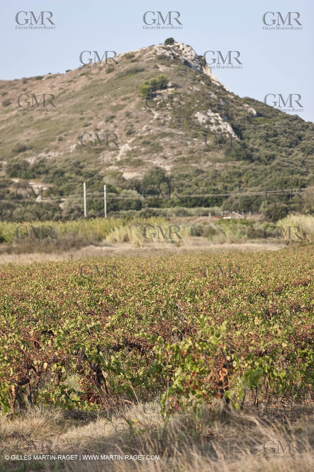 25 09 2009 - Sernhac (FRA,30)