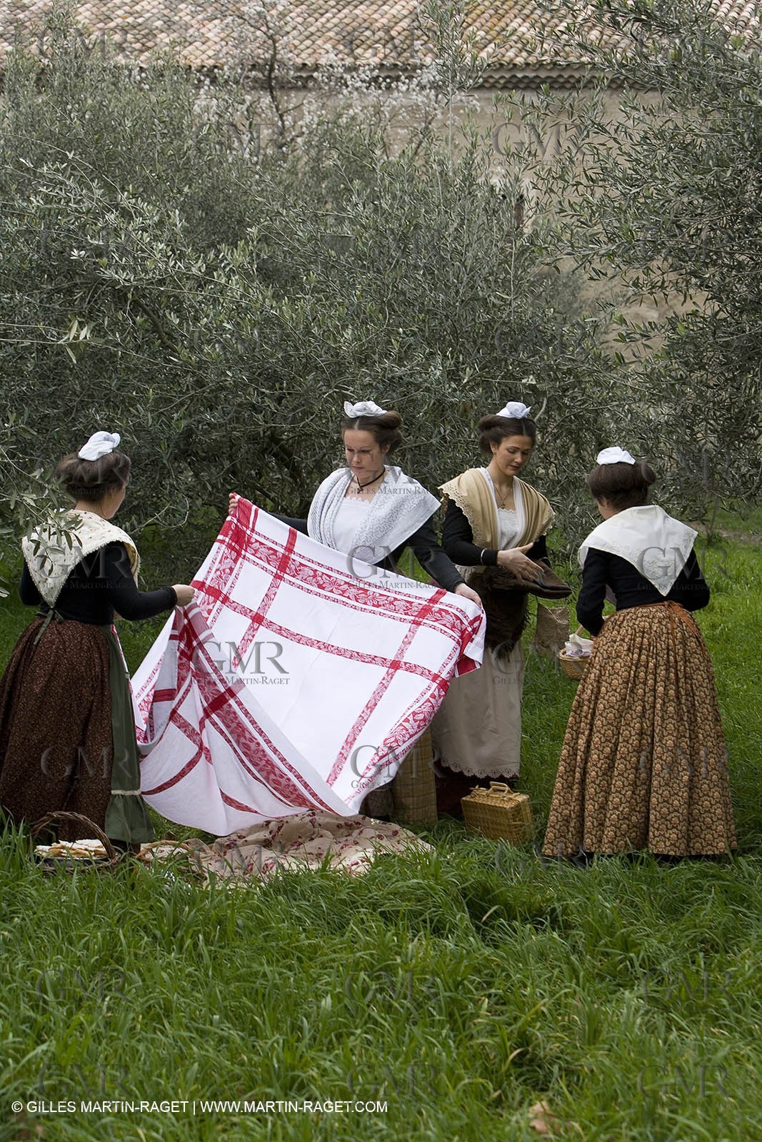 18 02 2007 - Saint Rémy de Provence - Queen of Arles in the Alpilles