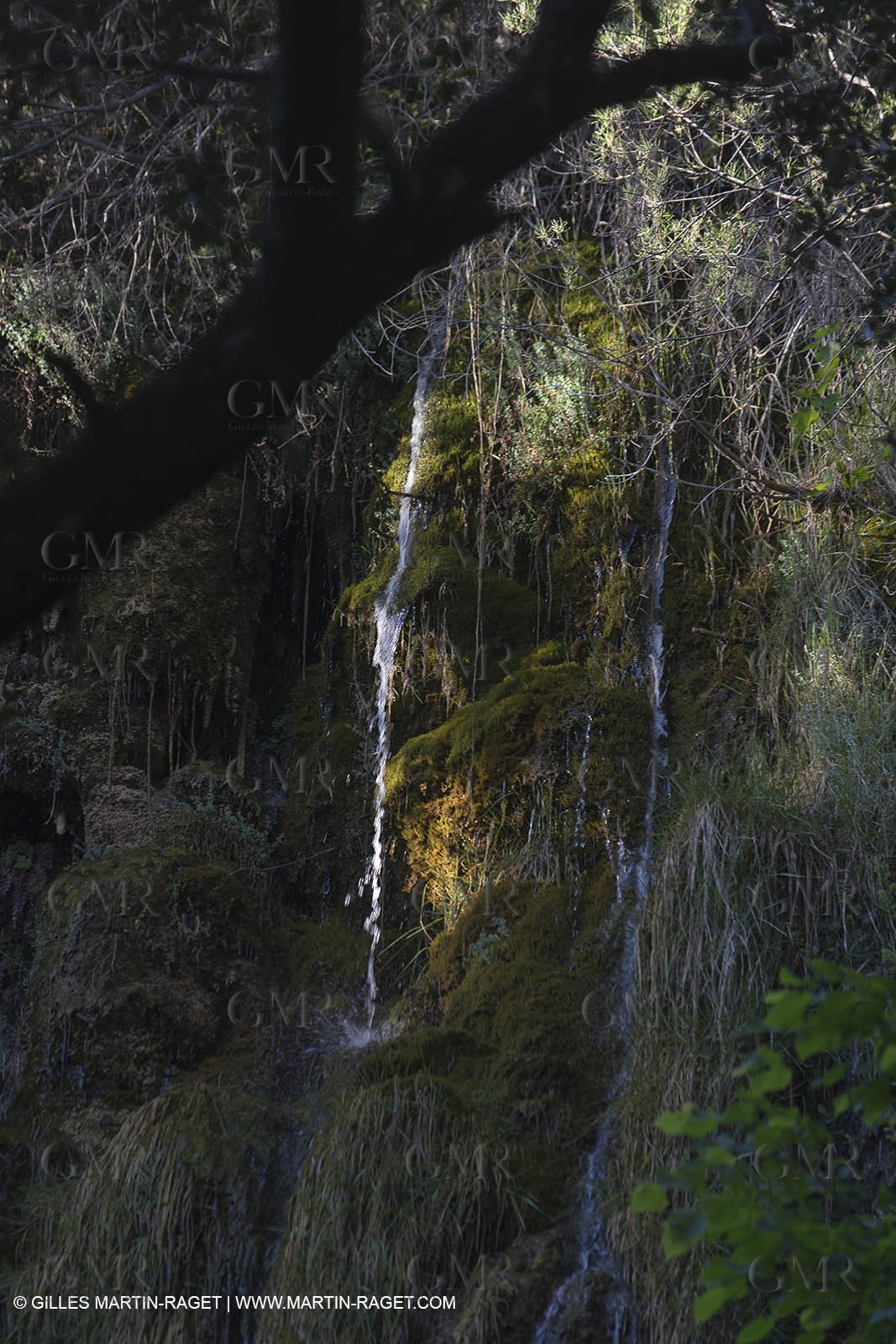Domaine de la Baume - Tourtour (FRA,83) - 15 05 2014