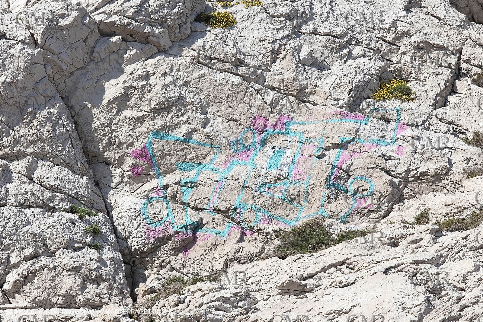 05 05 2009 - Marseille (FRA, 13) - Les Calanques - Riou island