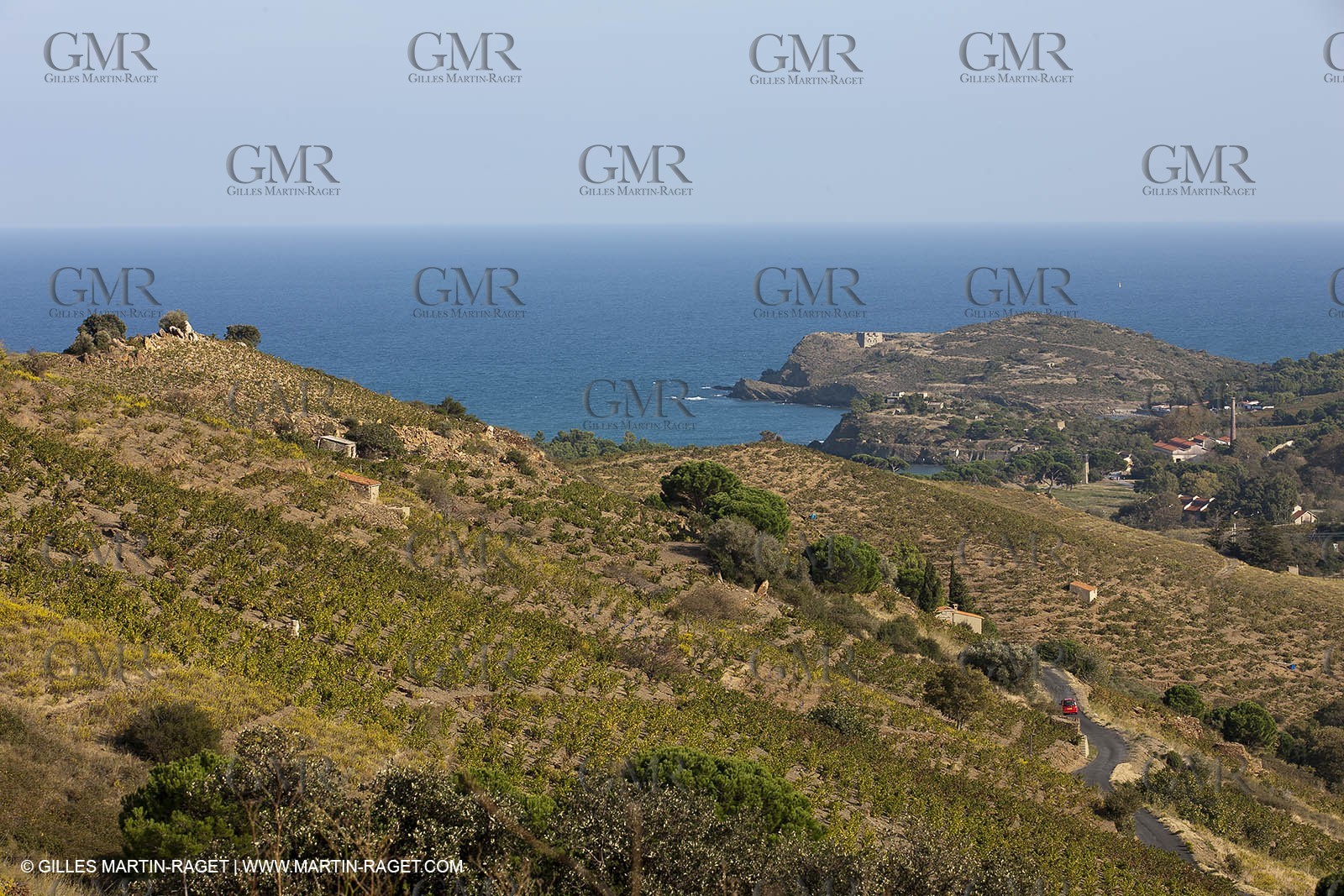 17 10 2011 - Vermeille Coast (FRA, 66) - Corbières Vineyards
