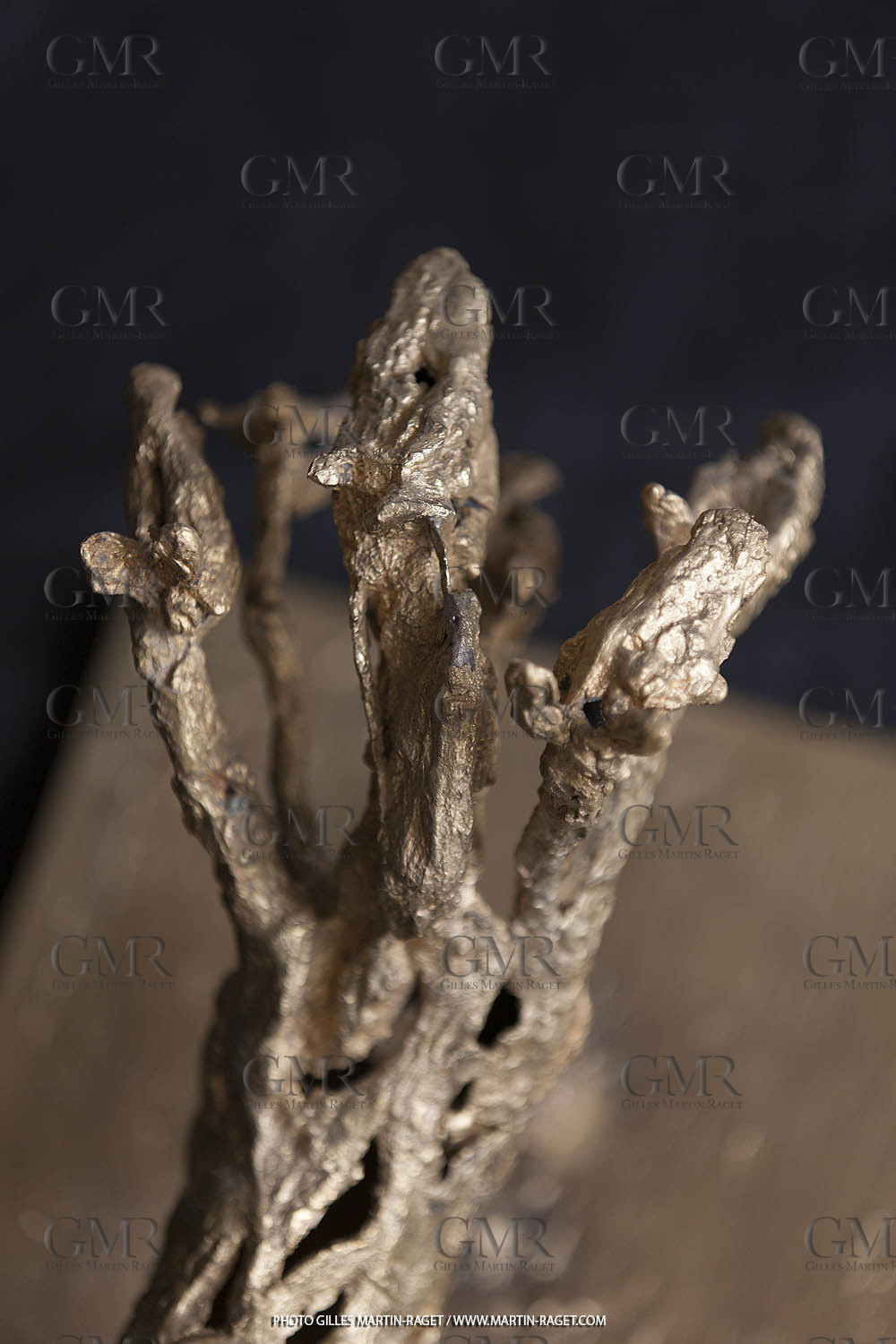 02 04 2016, Marseille (FRA,13), Oeuvre de Germaine Richier, Le Cheval à six têtes, petit 1955 ou 1956, Bronze naturel nettoyé, Numéroté Epreuve d'artiste, fondeur : L. Thinot, Paris, 35,5 x 38 x 18 cm, Collection particulière