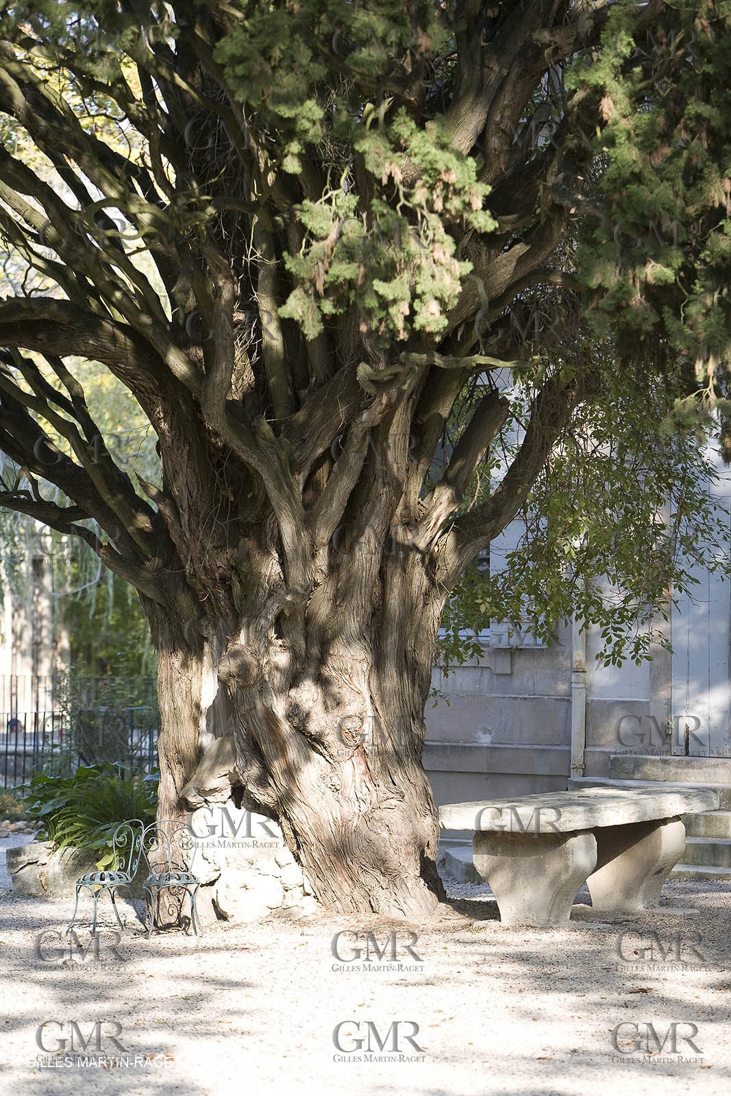 28 10 2007 - St Rémy de Provence (FRA,13) - Chateau des Alpilles