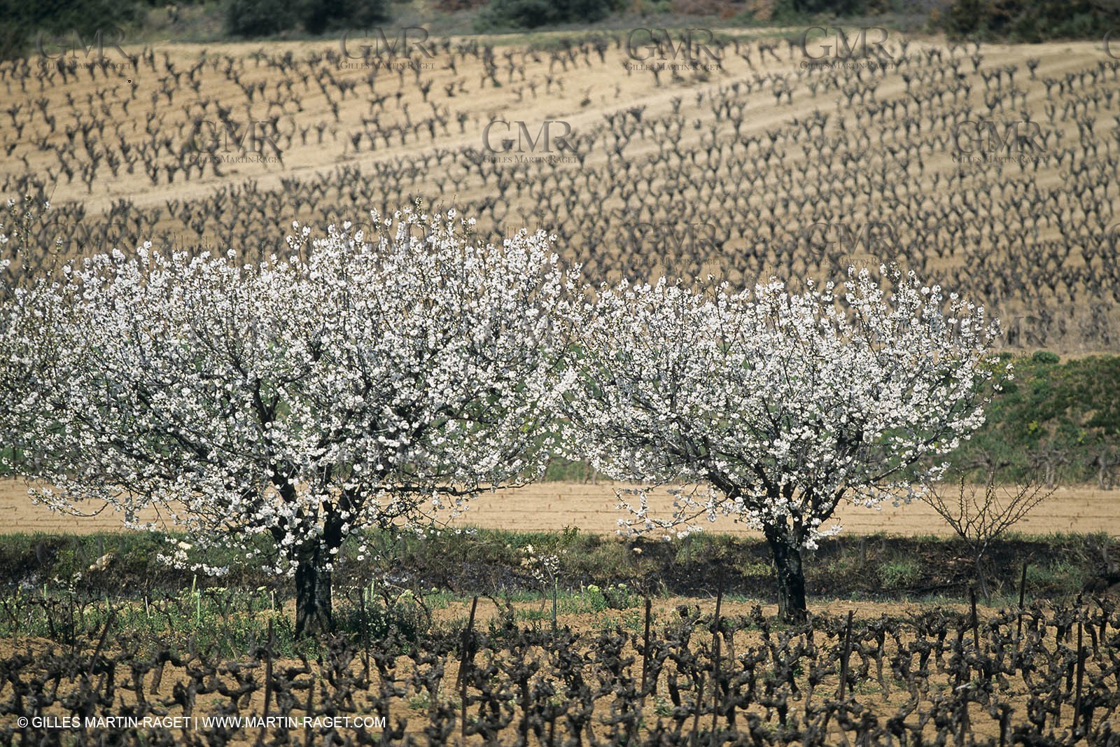 Aix en Provence area