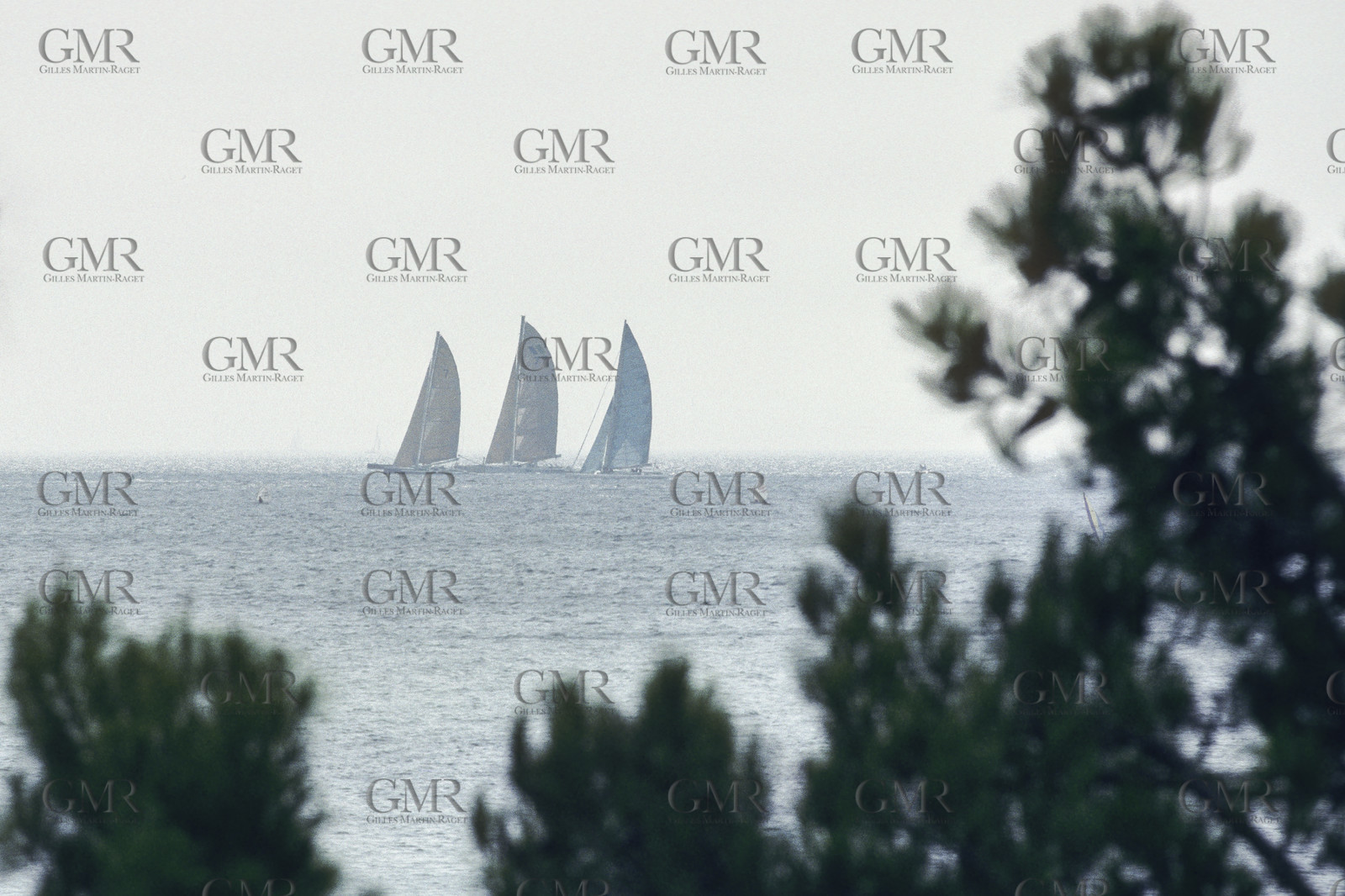 Saling, yacht Racing, Offshore Sailing, Multihulls