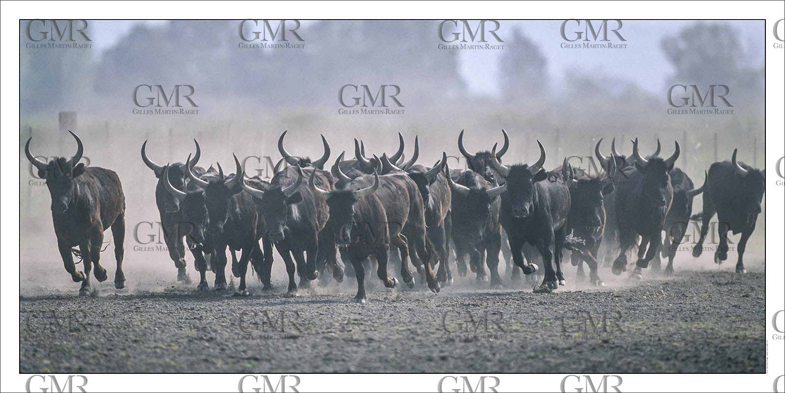 Produit : Tirage photo réalisé par nos soins sur imprimante jet d'encre professionnelle Epson à partir de 8 encres ultrachrome inaltérables (label Digigraphie).Formats au choix : .. 50 x 100 cm. 100 x 200 cmChoix des papiers :. Papier standard brillant 250 gr., filet noir, marge blanche, tirage non signé. Papier haut de gamme satiné 290 gr. filet noir, marge blanche, tirage vérifié et signé par l'auteur.. Autres supports (canvas, acrylique, dibond) sur demandeConditionnement : tube cylindrique renforcé.Options pour l'expédition : . colissimo + dépôt boîte aux lettres (France uniquement). Colissimo avec signature à réception. Transporteur express (2 jours ouvrés) avec signature à réceptionCliquez sur caddie pour sélectionner votre formule et démarrer la procédure de commande en ligne