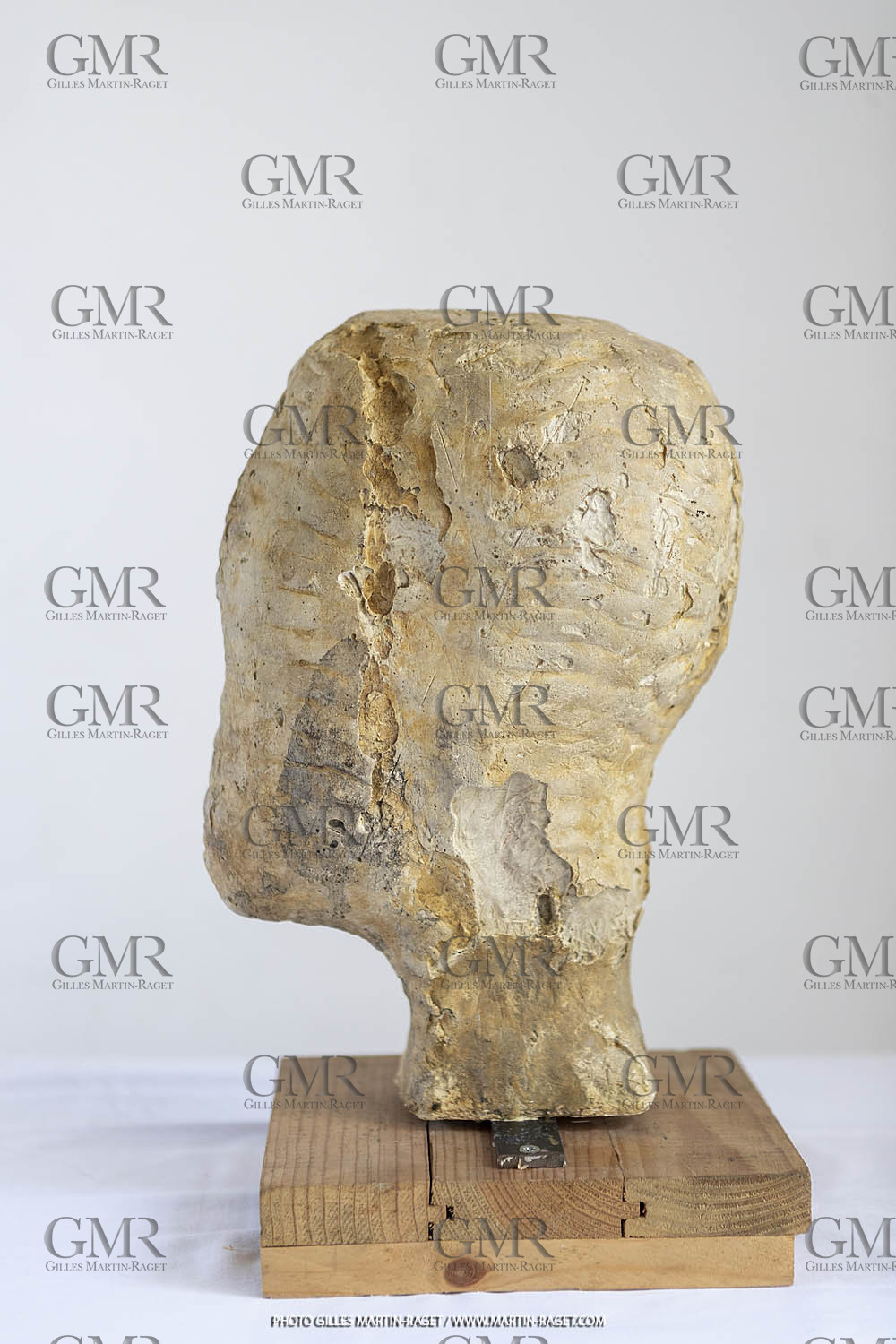 16 10 2022, St Rémy de Provence (FRA,13) Oeuvre de Germaine Richier, Buste n° 12 [dit Le Tatou] 1933-1934, Plâtre original, 31,5 x 16 x 22 cm, Collection famille Germaine Richier