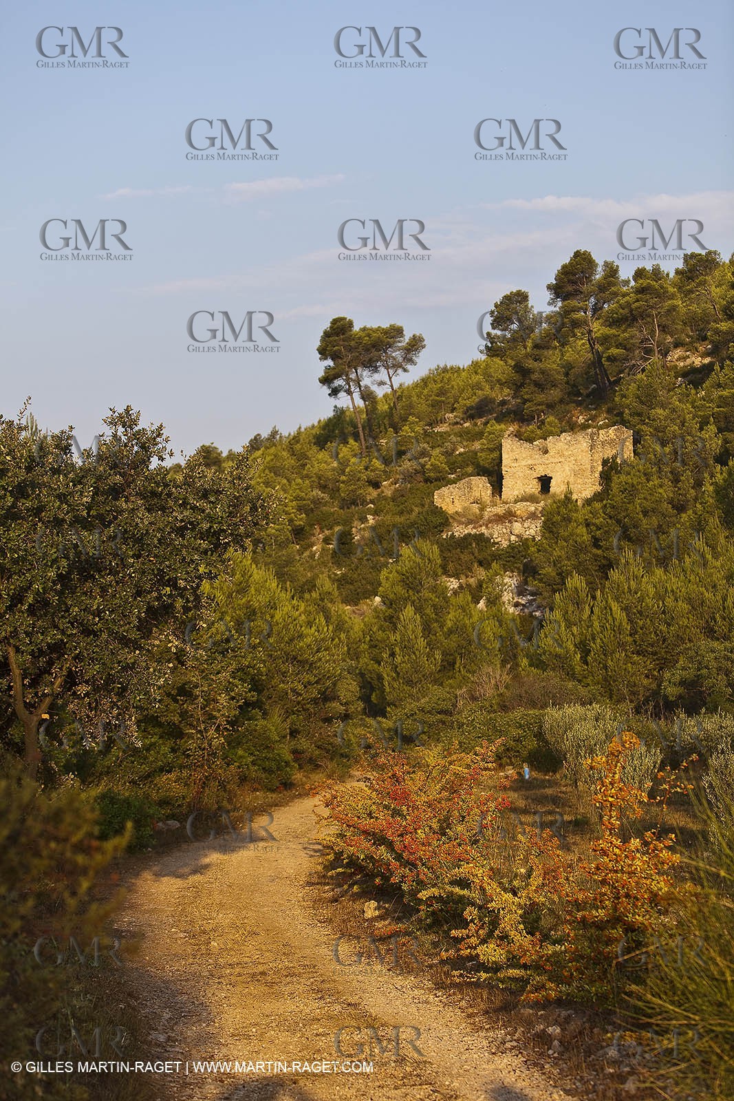 28 08 2009 - Sanary sur mer (FRA,83)