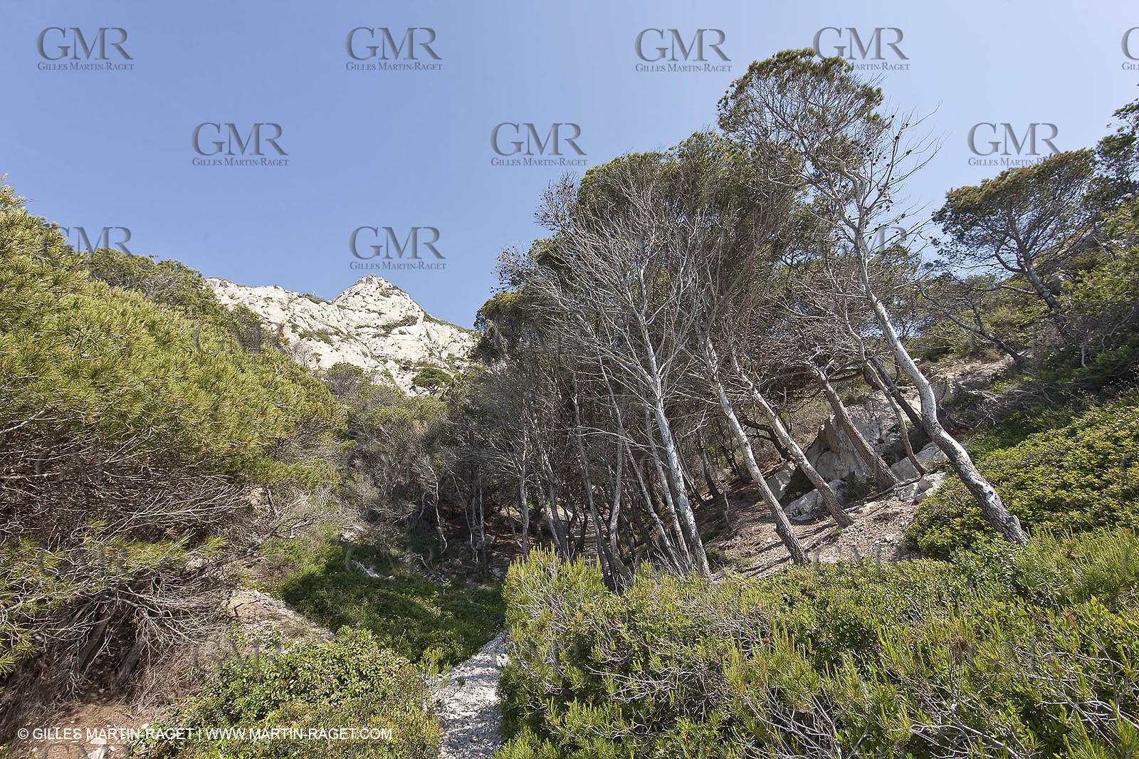 20 05 2009 - Marseille (FRA, 13) - Les Calanques - Calanque des Cairons