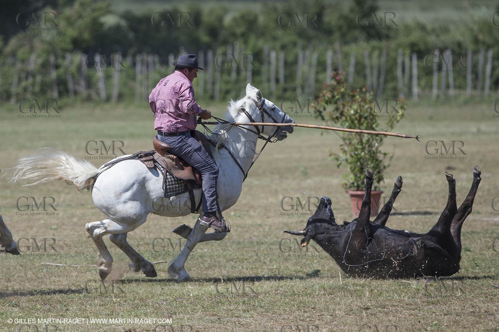 Course de Satin 2014 - Arles (FRA,13) - 1 06 2014**The satin race - Arles (FRA,13) - 01 06 2014