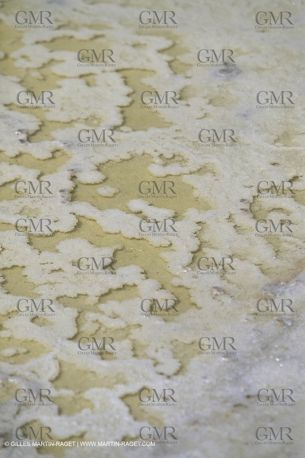 France, Provence, Marais salants, salted marshes, culture du sel, salt making, salt harvest