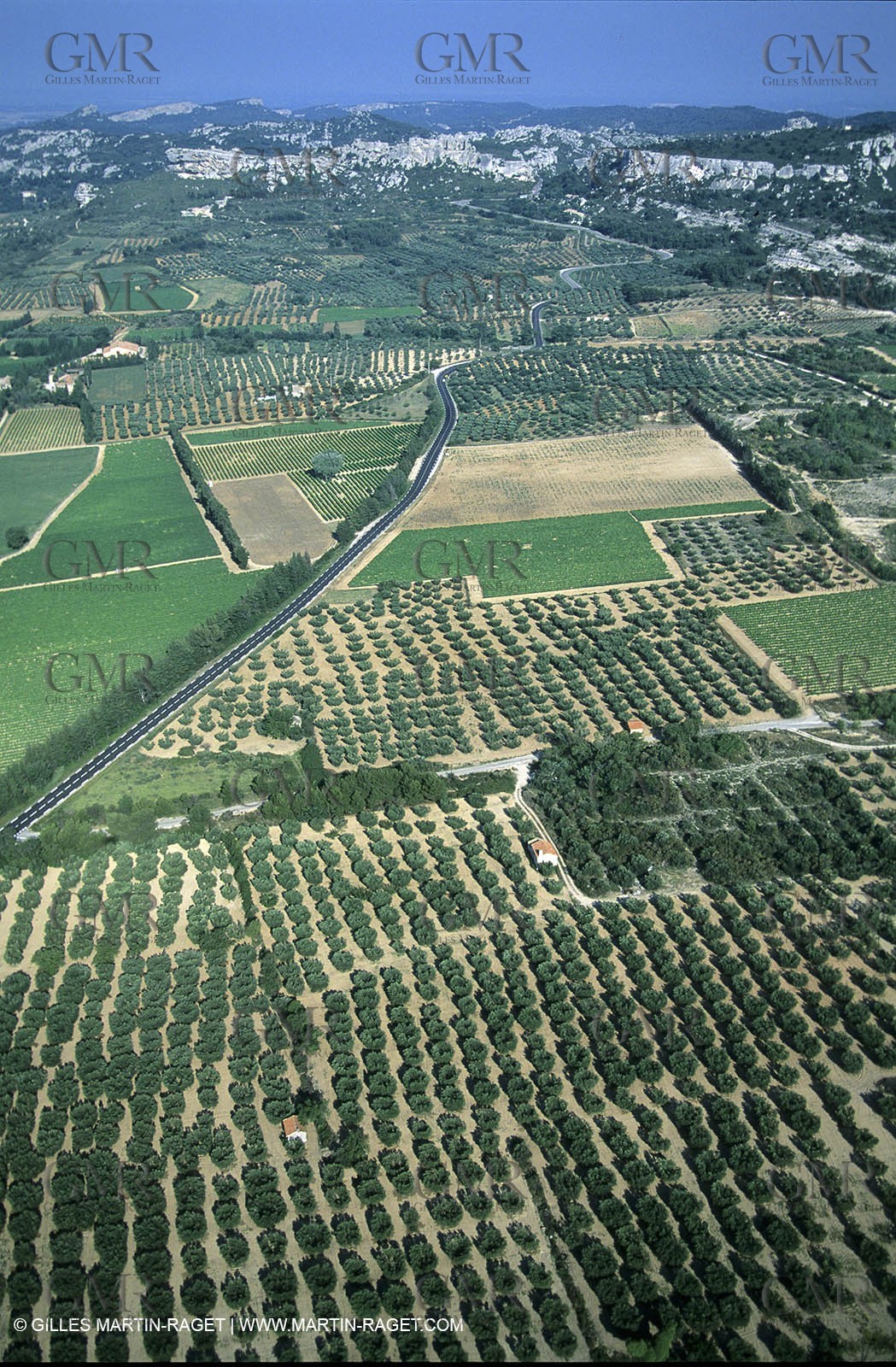 Alpilles countryside