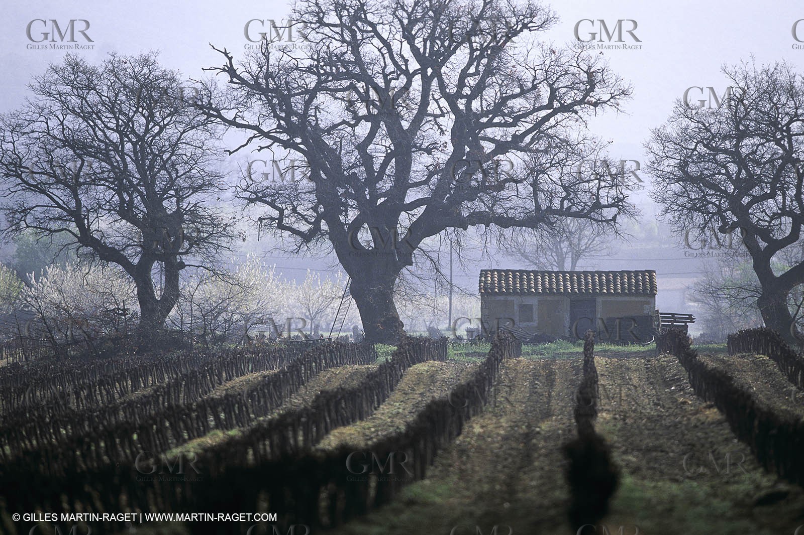 Luberon in winter near Saint Satrunin les Apt (FRA,84)
