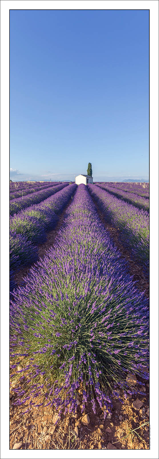 Product: in house made quality print on 8 ultrachome colors Epson ink Jet printer.Available sizes: . 20x 60 cm. 33 x 95 cm. 52 x 150 cmAvailable papers: . Standard 250 gr glossy paper print, black streak, white margin, no signature. Top quality glossy 290 gr. paper, black streak, white margin, checked and signed by the author. Fine Art print (signed, numbered, stamped, registered) on demand. Other supports (Canvas, Acrylic, Metal) on demandPackaging: cylindric reinforced tubeShipping options: regular mail or Shipping companyClick on the basket icon to select your options and start the online ordering process