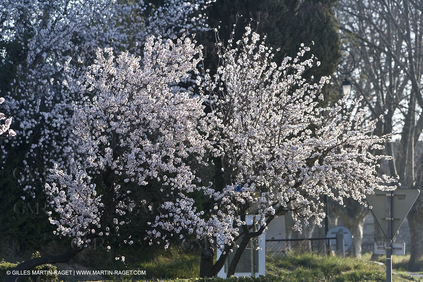 09 02 2008 - Les Baux de Provence (FRA, 13) - Alpilles hills landscapes