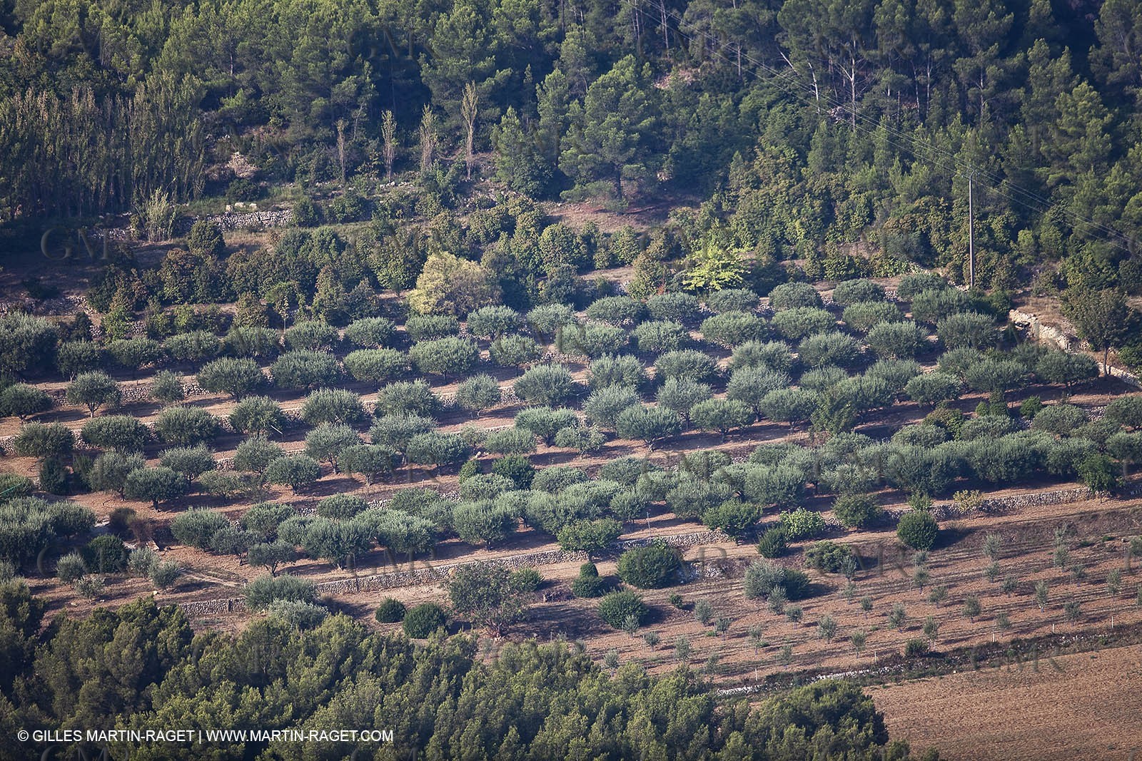 28 08 2009 - Sanary sur mer (FRA,83)