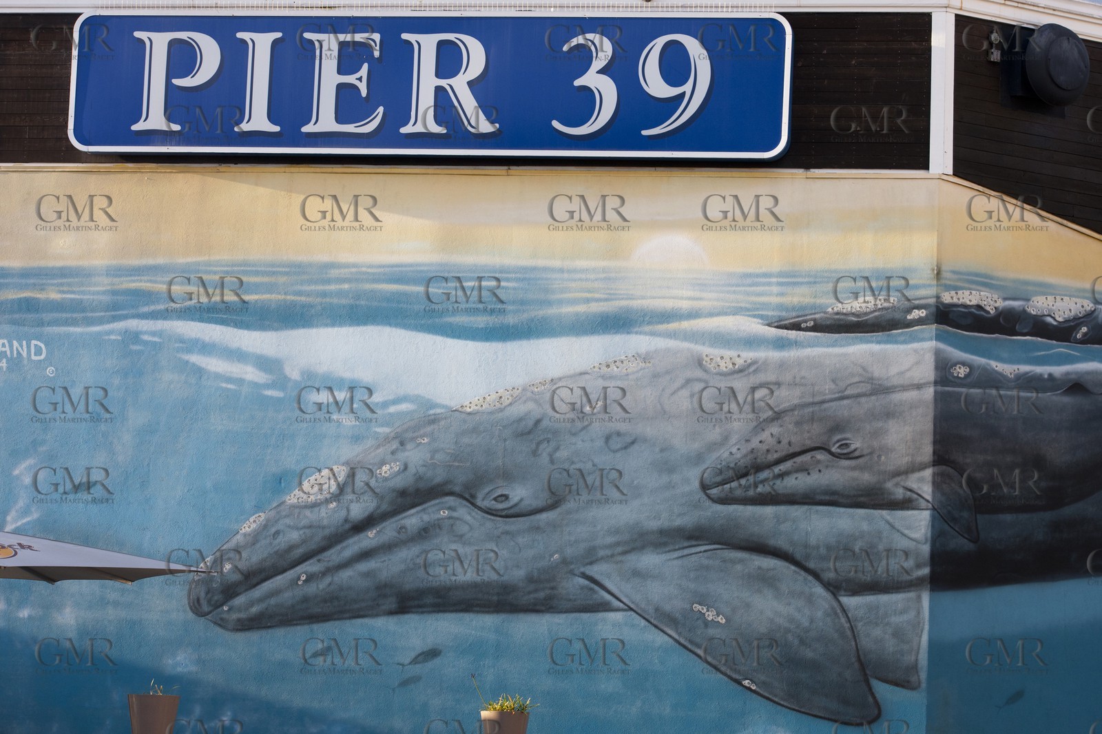 07 01 2011 - San Francisco (USA,CA) - The piers - Pier 39