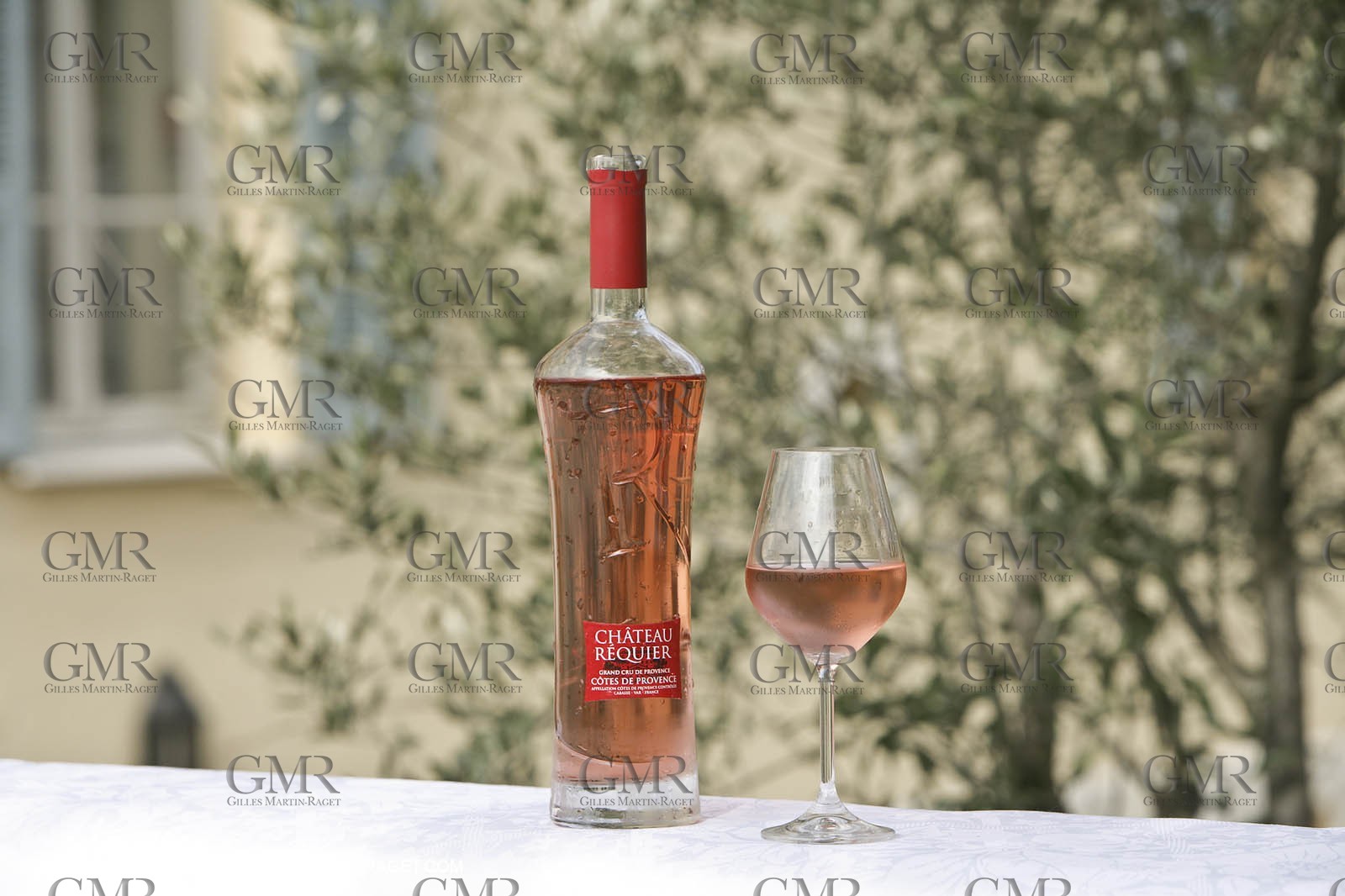 28 02 2008 - Cabasse (FRA, 83) - Domaine du Lac vines