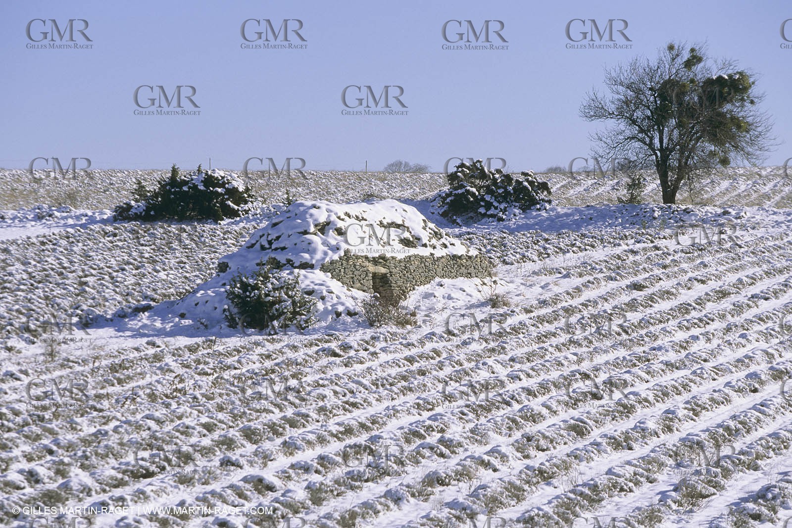 France, Provence, Neige en hiver   Snow in Provence