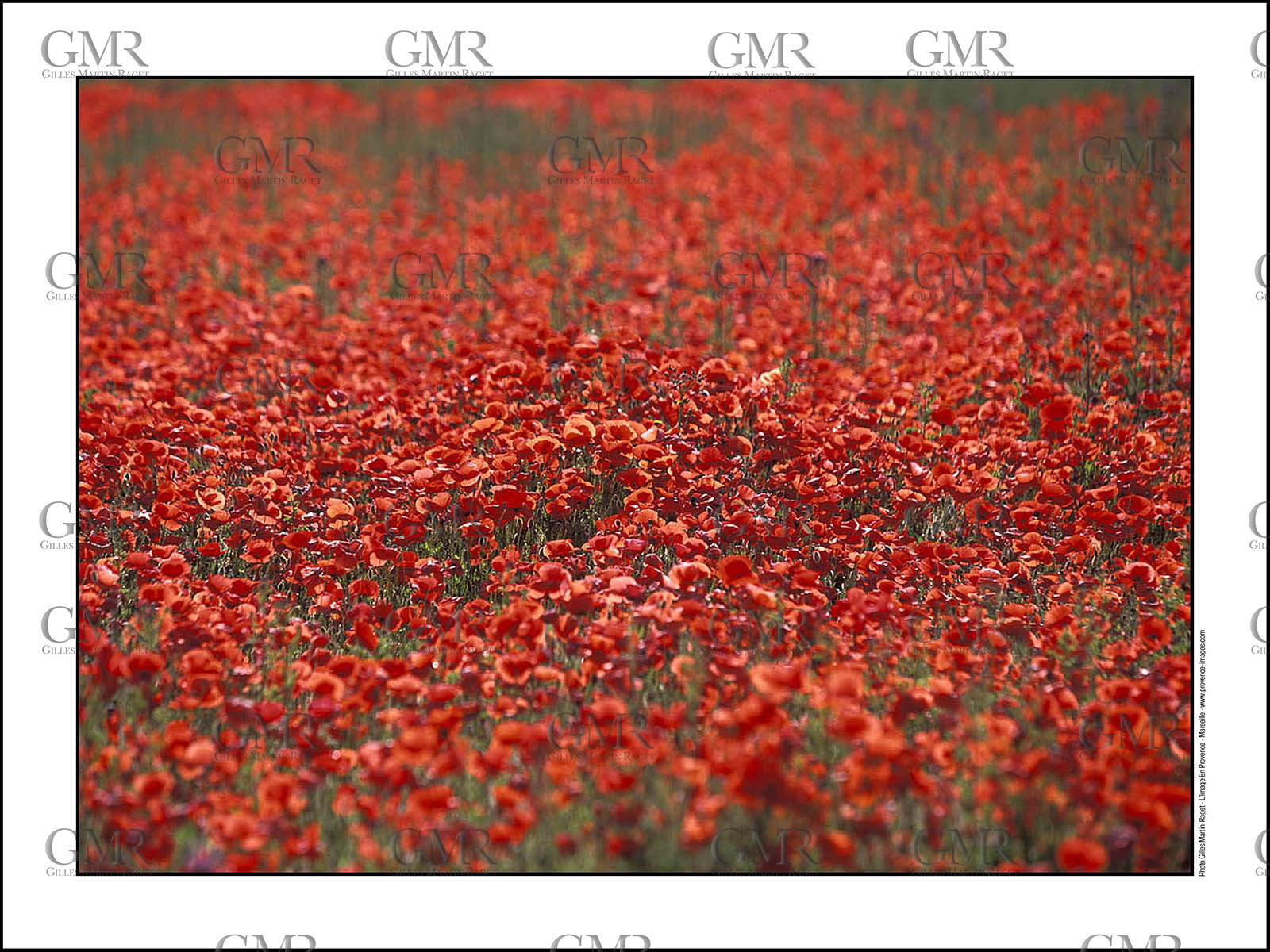 Produit : Tirage photo réalisé par nos soins sur imprimante jet d'encre professionnelle Epson à partir de 8 encres ultrachrome inaltérables (label Digigraphie).Formats au choix : . 30x40 cm. 50x70 cm. 80x120 cm.Choix des papiers :. Papier standard brillant 250 gr., filet noir, marge blanche, tirage non signé. Papier haut de gamme satiné 290 gr. filet noir, marge blanche, tirage vérifié et signé par l'auteur.. Autres supports (canvas, acrylique, dibond) sur demandeConditionnement : tube cylindrique renforcé.Options pour l'expédition : . colissimo + dépôt boîte aux lettres (France uniquement). Colissimo avec signature à réception. Transporteur express (2 jours ouvrés) avec signature à réceptionCliquez sur caddie pour sélectionner votre formule et démarrer la procédure de commande en ligne