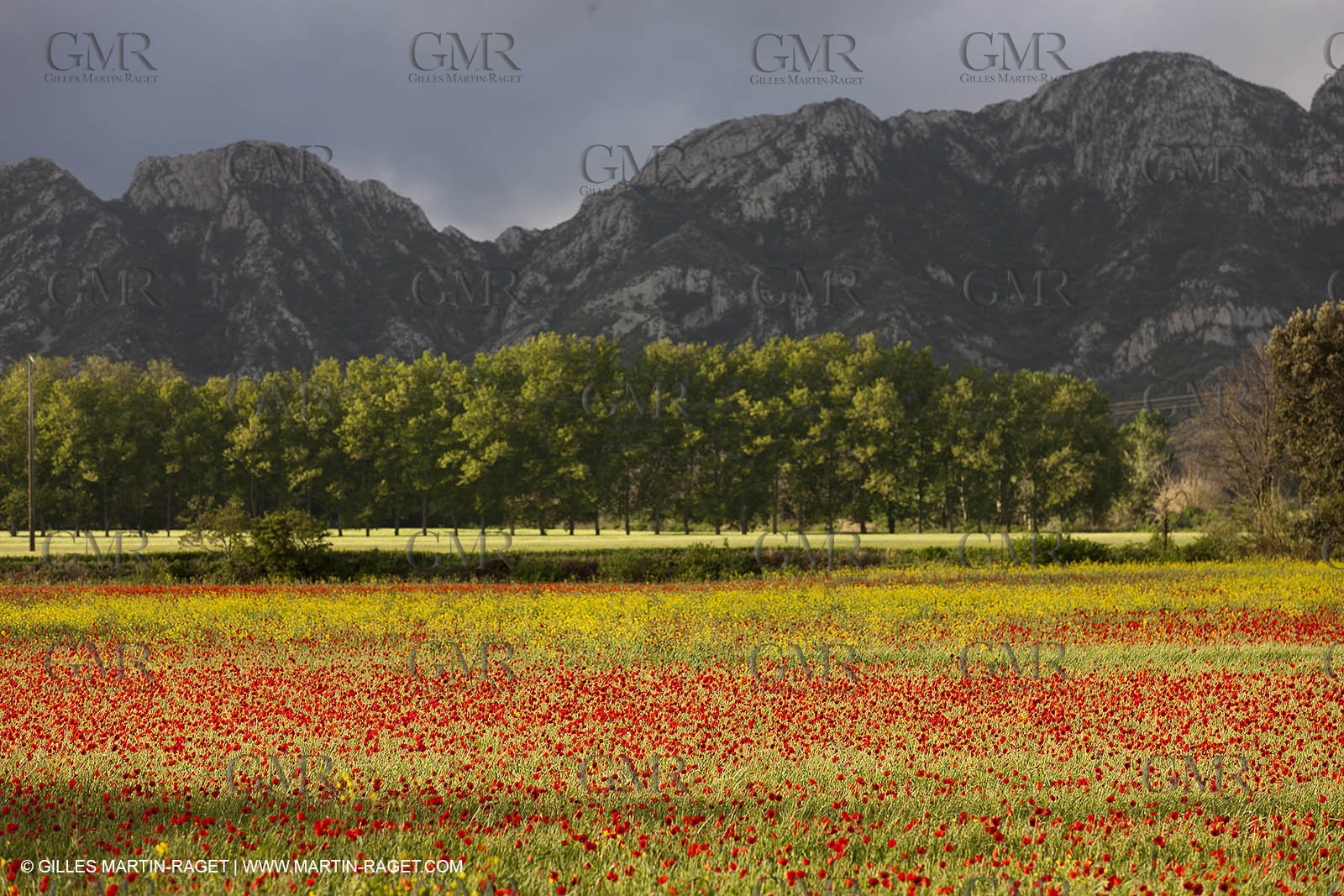 29 04 2012 ( Saint Rémy de Provence (FRA, 13) - Chaîne des Alpilles vers Romanin
