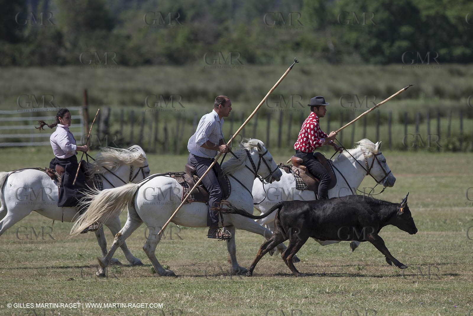Course de Satin 2014 - Arles (FRA,13) - 1 06 2014**The satin race - Arles (FRA,13) - 01 06 2014