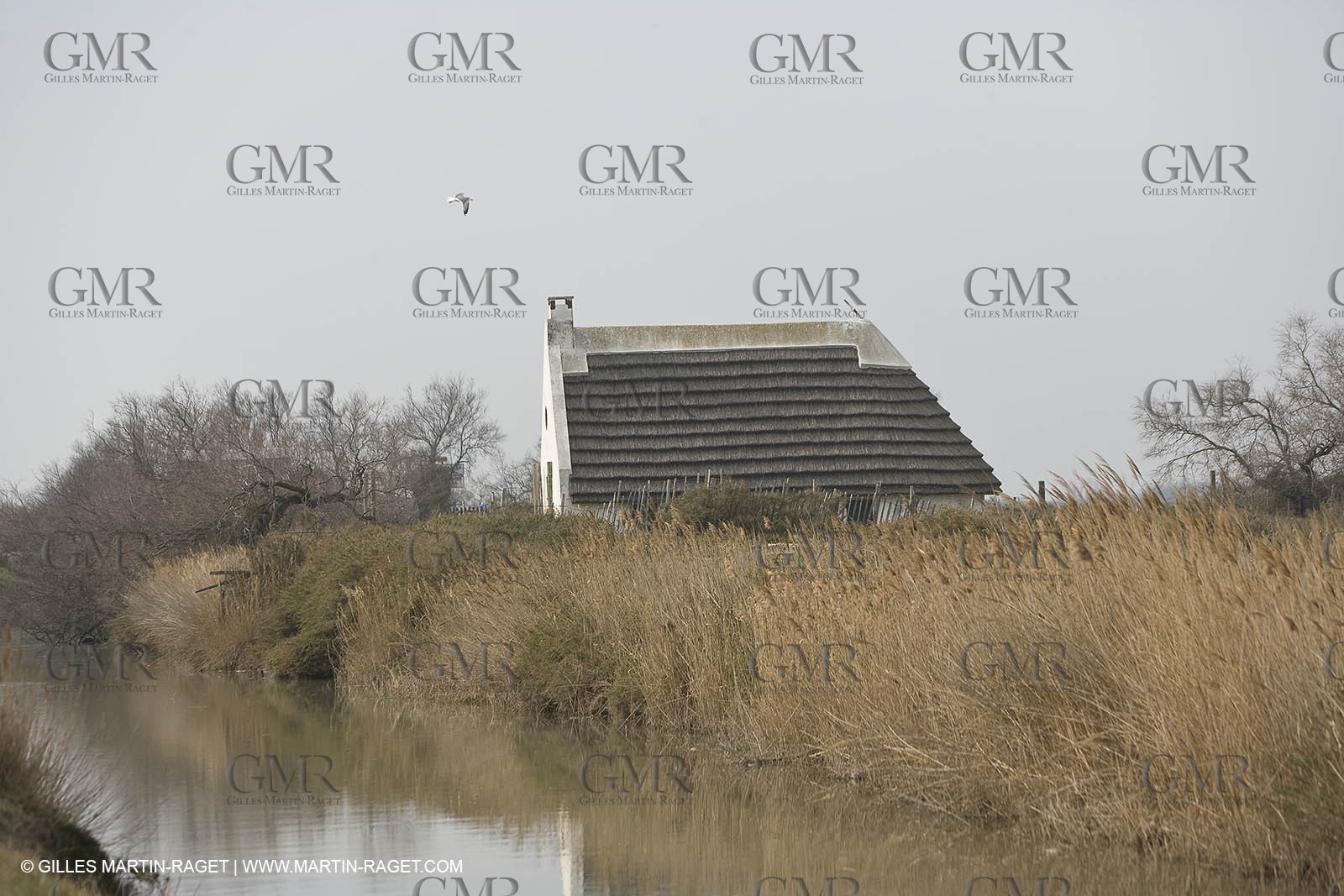 16 02 2008 - Les Saintes Maries de la mer (FRA, 13) - gardians cants