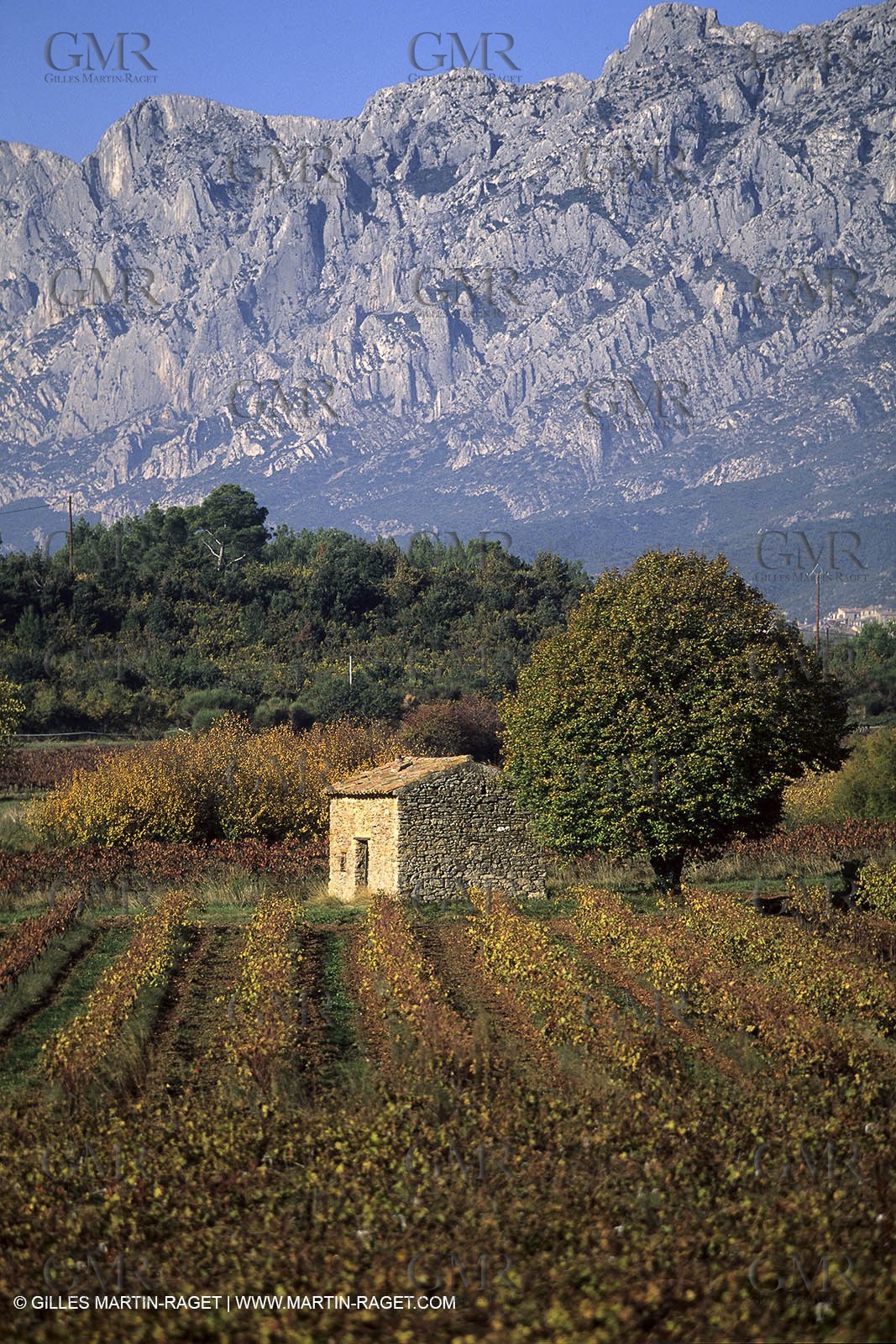 Aix en Provence area - Sainte Victoire mountain