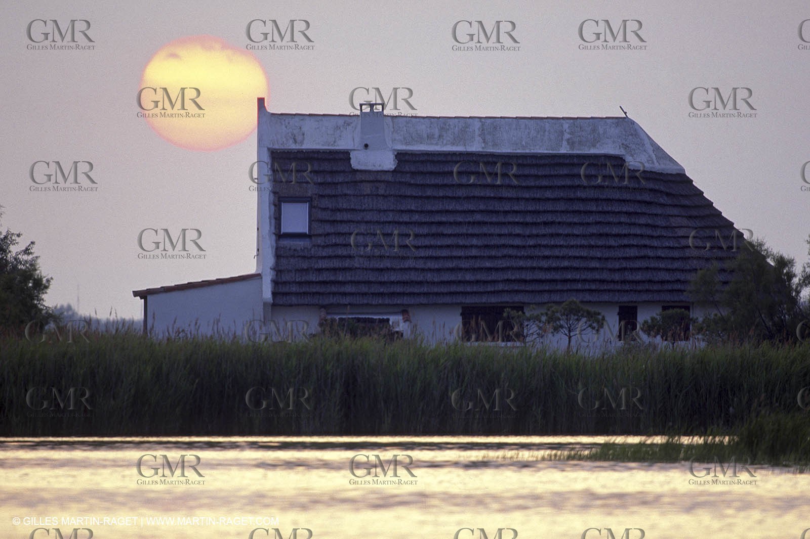 Camargue (FRA,13) - Gardian cant